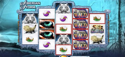 siberian storm test|Siberian Storm Review (2024) .